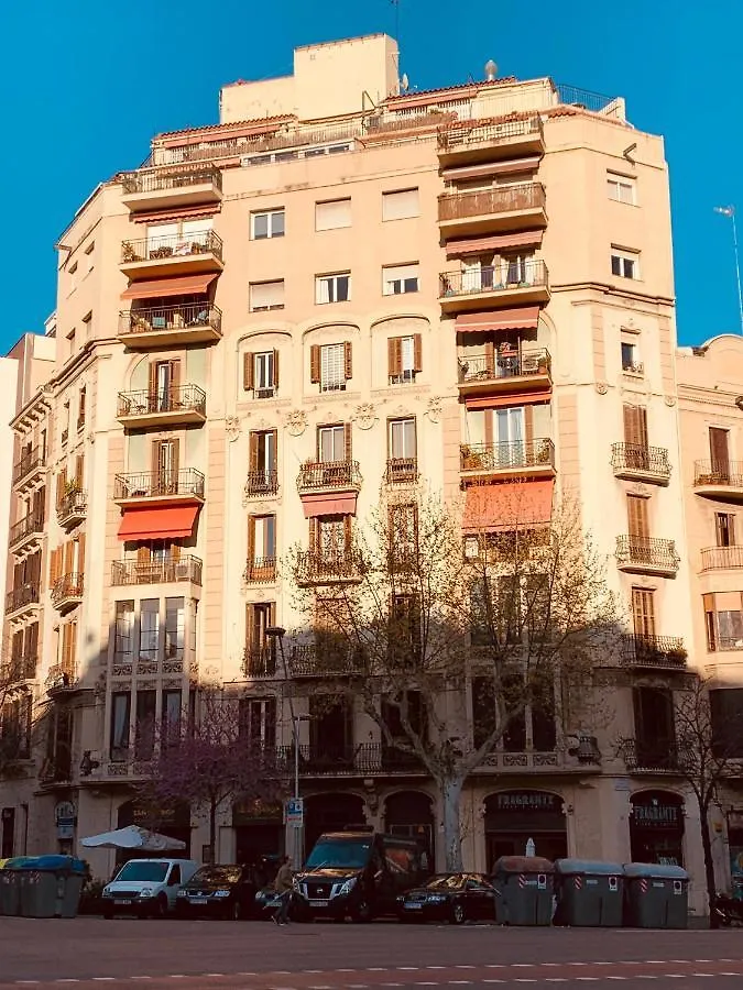 Spacious & Comfortable Flat In Centric Eixample Barcelona 0*,  Spain